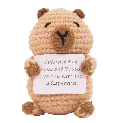 zjhukfmc Gehäkeltes Capybara | Stricktiere - Inspirierende Stoffdekoration mit Karte Lustig für Zuhause Schreibtisch Abschluss Arbeit Geburtstag Valentinstag von zjhukfmc