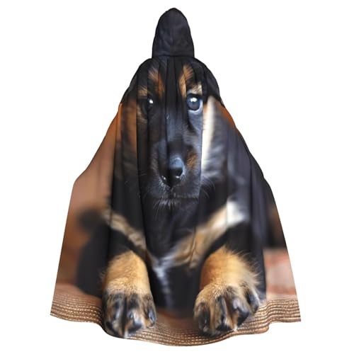 zkyfll Kapuzenumhang mit Kapuze, für Damen und Herren, Erwachsenengröße, mit Kapuze, Halloween, Cosplay-Kostüme zkyfll Kapuzenumhang mit Kapuze, für Damen und Herren, Erwachsenengröße, mit Kapuze, Halloween, Cosplay-Kostüme von zkyfll