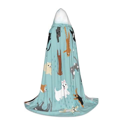 zkyfll Umhang mit Kapuze und Regenkatzen und Hunden, klein, Halloween-Kostüm, Halloween, Cosplay, Hexe, Robe Cape von zkyfll
