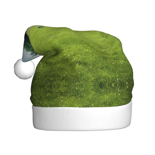 zkyfll Weihnachtsmannhut mit Fußball-Motiv auf Gras, lustiger Weihnachtshut für Erwachsene, Weihnachtsfeier zkyfll Weihnachtsmannhut mit Fußball-Motiv auf Gras, lustiger Weihnachtshut für Erwachsene, Weihnachtsfeier von zkyfll