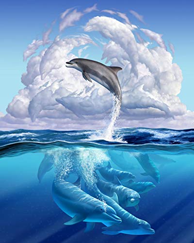 Puzzle 1000 Teile Landschaft Erwachsene Puzzle Papierartiges 3D Klassisches Puzzle Delfine Spielen DIY Moderne Kunst Hauptdekor 38x52CM von znwrr