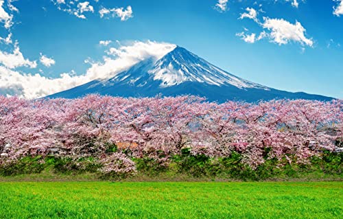 Puzzle 2000 Teile, Mount Fuji Pink Sakura Frühlingslandschaft, individuelles Puzzle 70x100CM von znwrr