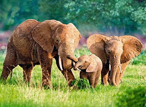 Puzzle 2000 Teile Elefantenfamilie Puzzle Geschenke für Kinder und Erwachsene 70x100CM von znwrr