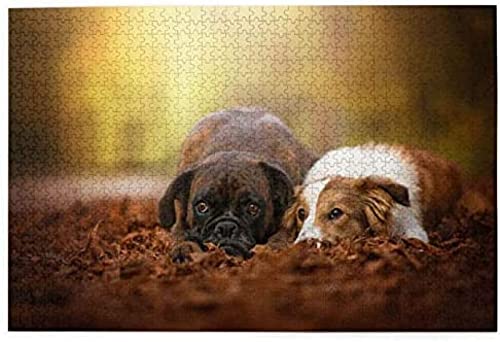 Puzzles 1000 Teile Boxer Hunde Labrador Freundschaft Wald Herbst Trockenes Papieriges Puzzlespielzeug Familienspiel Wanddekoration für Erwachsene Teenager 50x70CM von znwrr