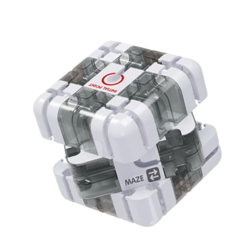 Large 3D Labyrinth Cube Puzzle, Challenging Maze Cube & 3D Puzzle for Adults, Brain Training Logic Game, Family Fun for Teens & Adults (B) von zoocco