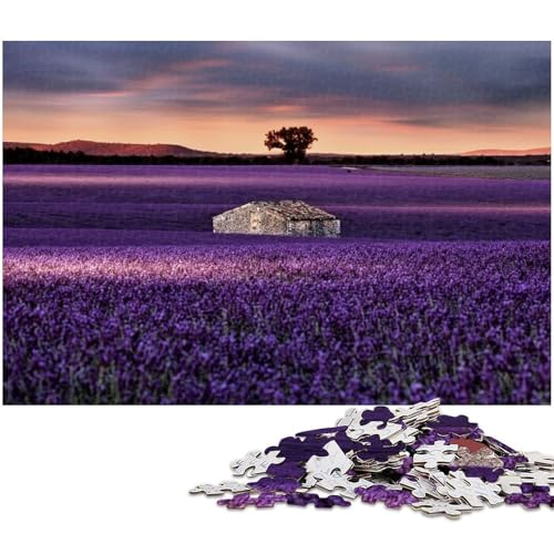 1000 teiliges Puzzle für Erwachsene „Going_Home für Puzzle EIN Kunstwerk für Teenager ab 14 Jahren 1000 Teile (38 x 26 cm) von zouxangzz