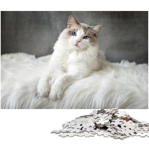 1000 teiliges Puzzle für Erwachsene Katze EIN Kunstwerk für Teenager ab 14 Jahren (Größe 75 x 50 cm) von zouxangzz
