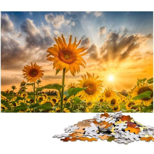 Puzzle 1000 Teile für Erwachsene Sonnenblumen im Sonnenuntergang Puzzle Wanddekoration Geburtstagsgeschenk Wandkunst (Größe 75 x 50 cm) von zouxangzz