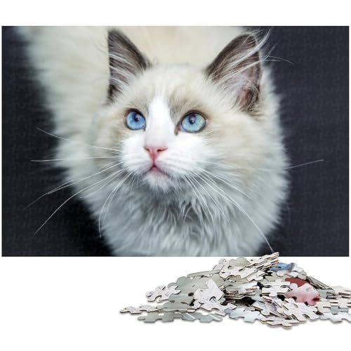 Puzzle für Erwachsene 1000 Teile Katzen Puzzle EIN Kunstwerk für Teenager ab 14 Jahren (Größe 75 x 50 cm) von zouxangzz