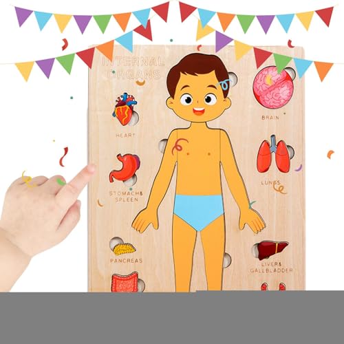 Körperteile Für Kinder | Pädagogisches Holz Puzzle Vom Menschlichen Körper,Entwicklungsspielzeug Für Kinder Im Krankenhaus Für Mädchen Jugendliche Studenten Und Kleinkinder In Körperteile Für Kinder | Pädagogisches Holz Puzzle Vom Menschlichen Körper,Entwicklungsspielzeug Für Kinder Im Krankenhaus Für Mädchen Jugendliche Studenten Und Kleinkinder In von zwxqe